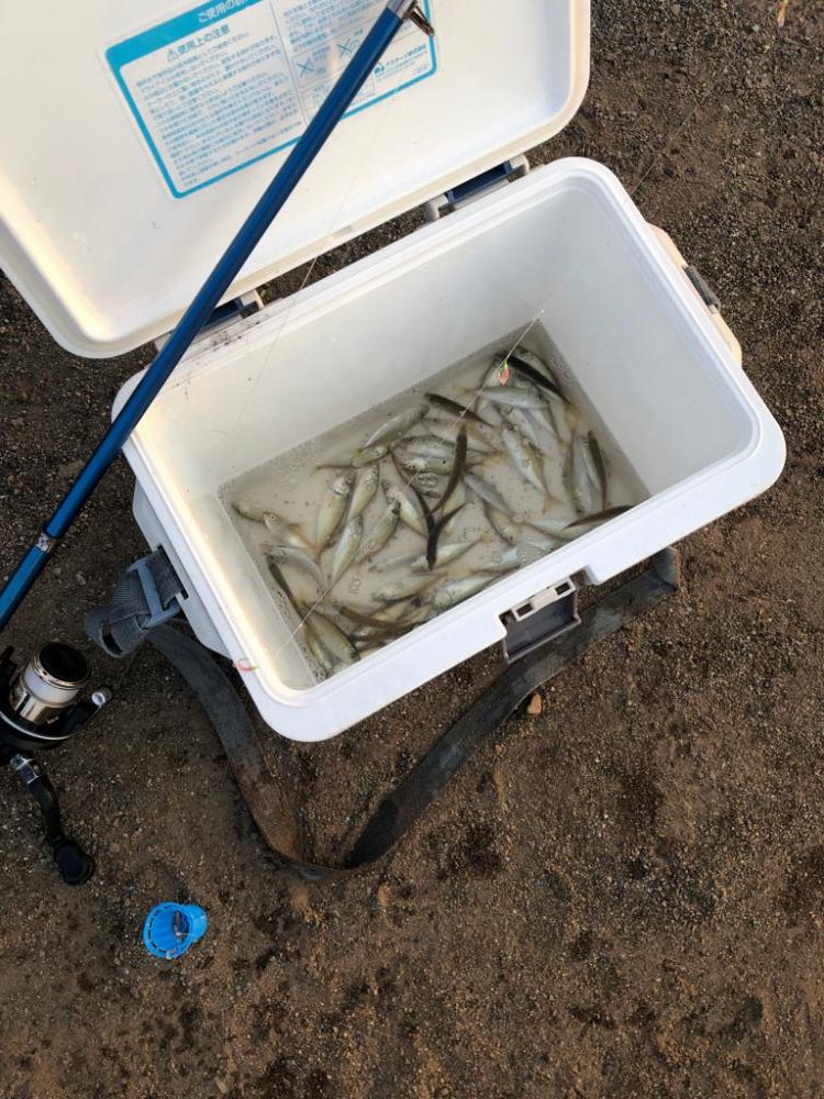 ファミリーフィッシング