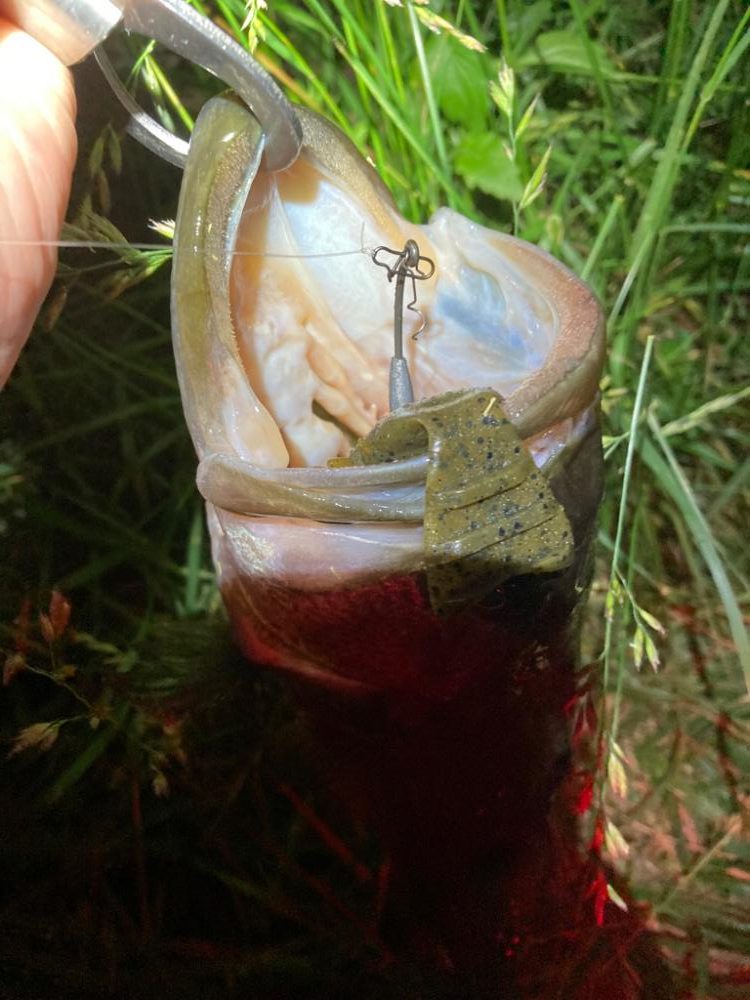 アフターにはブルフラ4.8！！