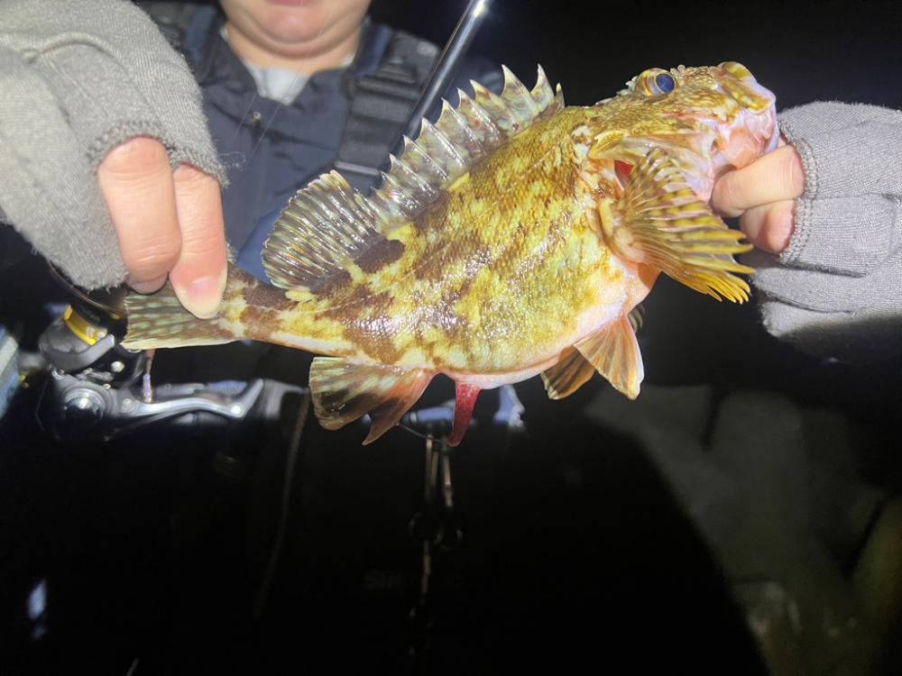 ランガンの末に