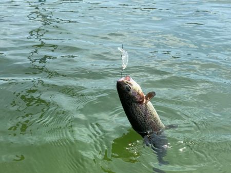 1人かめプー無双