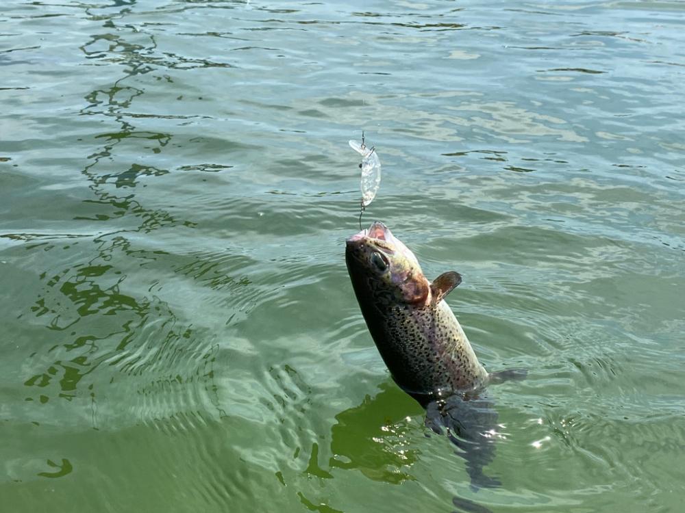 1人かめプー無双