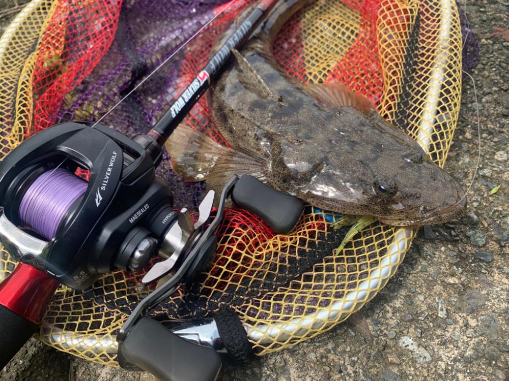 チニングならぬマゴチング？