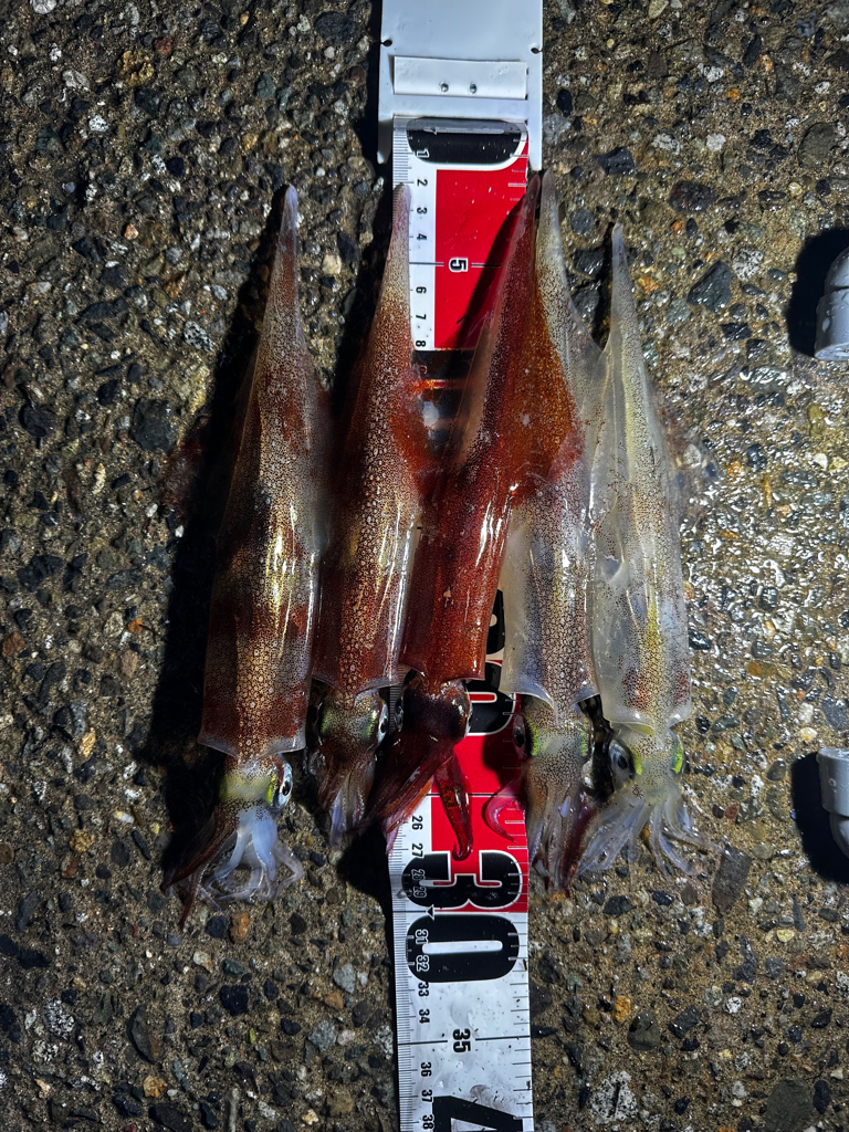 ５月１３日釣行