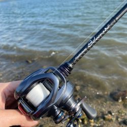 淀川ブリームゲーム