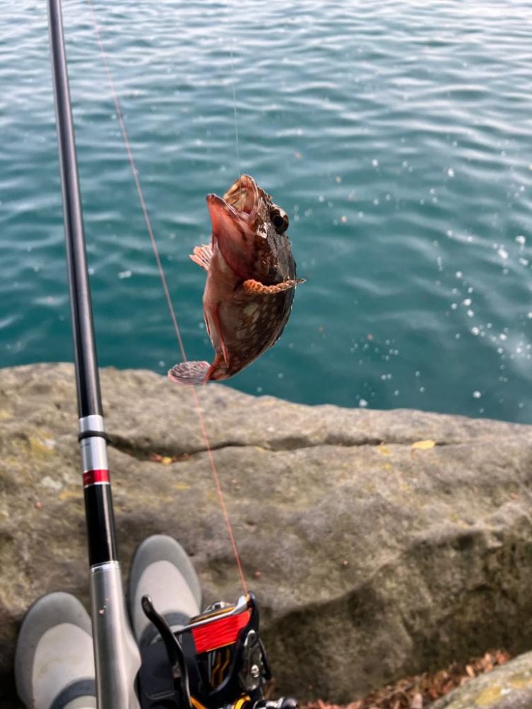 磯フカセ釣り