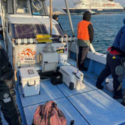 鳥取港で近海アジ釣り｜デカアジがバタバタ釣れる！