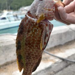 スプーンを投げまくる会