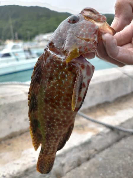 スプーンを投げまくる会