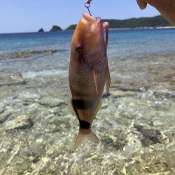 沖縄で釣り！
