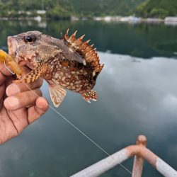 陸っぱり釣行記