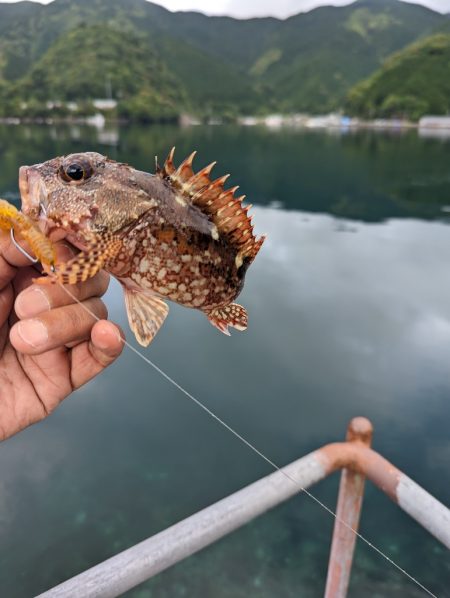 陸っぱり釣行記