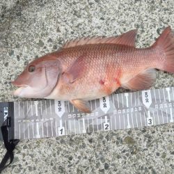 暴風＆荒波釣行、悪戦苦闘…