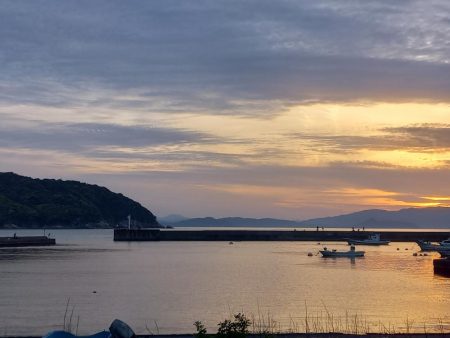 良型のグレが釣れました