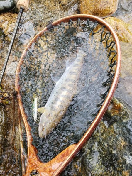 こんなとこに居る？