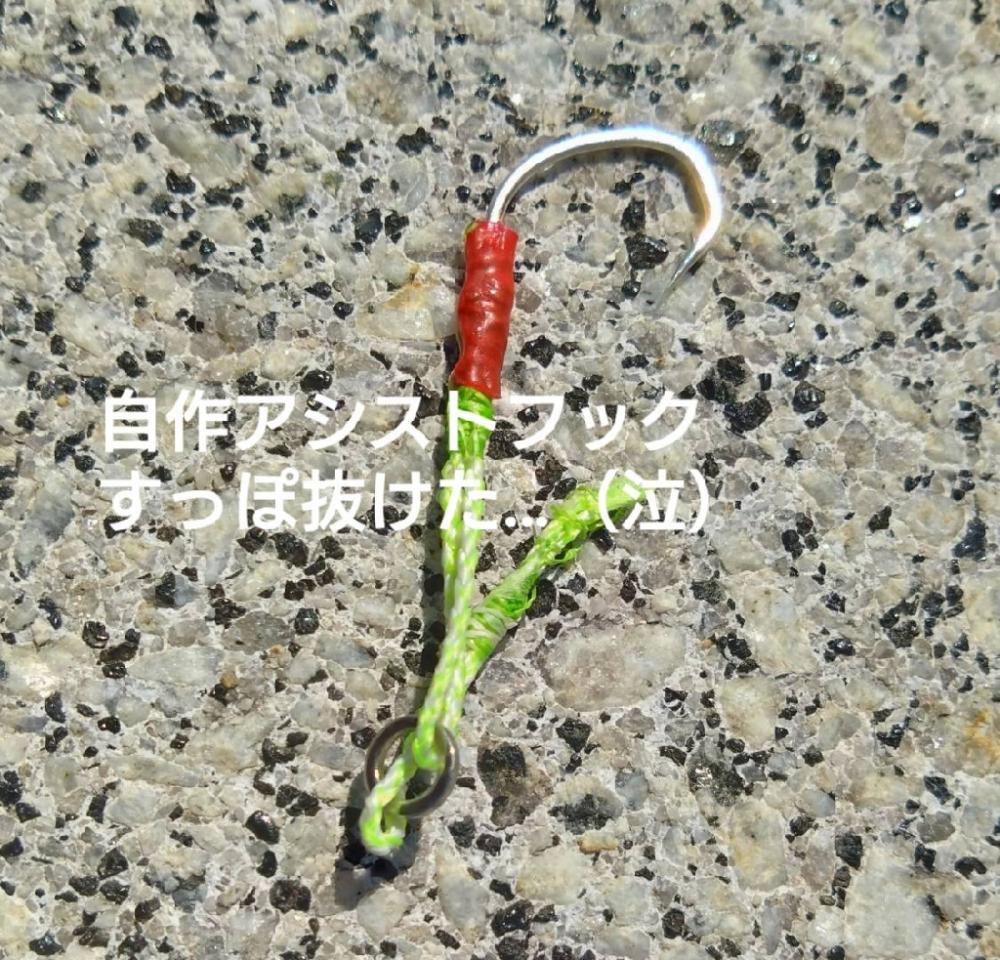 カンパチ痛恨のバラし…ハマチリリースサイズのみ