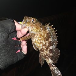 旅先でガシリング