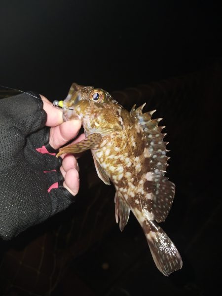 旅先でガシリング