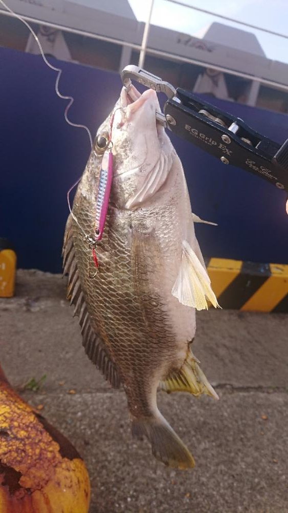 2023 停泊船ゲーム1回目