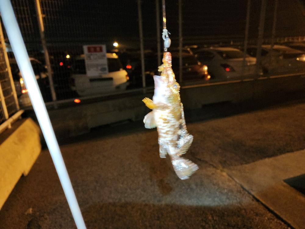 久々ライトゲーム