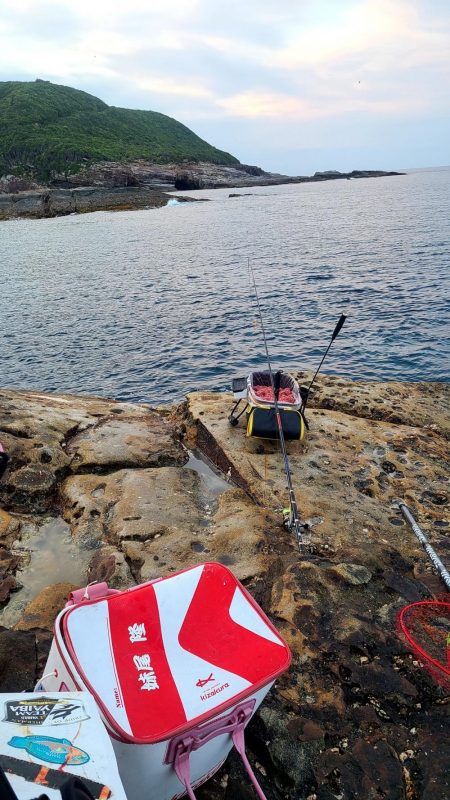 和歌山市江(吉丸渡船)でグレ釣り