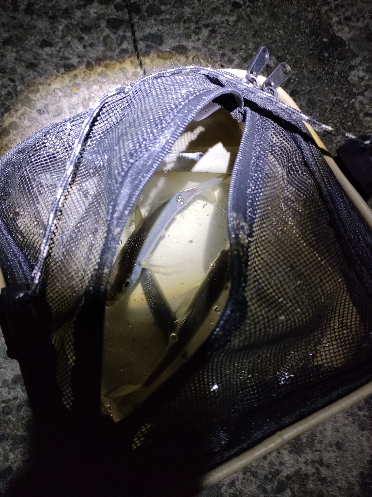 釣り浴が抑えれず…