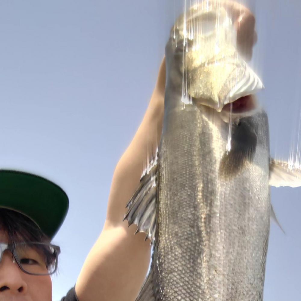 2023年初フィッシュ