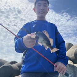 エギング中にメバルボイル