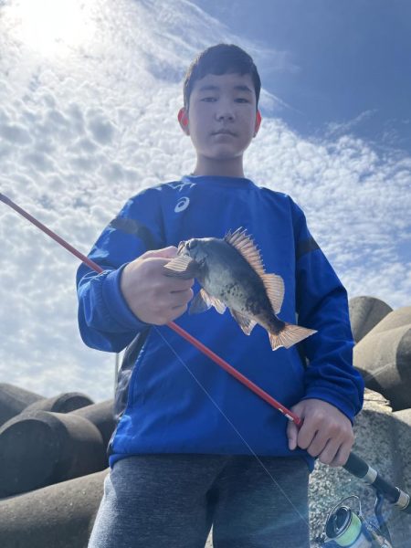 エギング中にメバルボイル