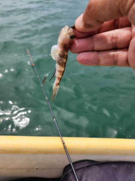 久しぶりのボートキス