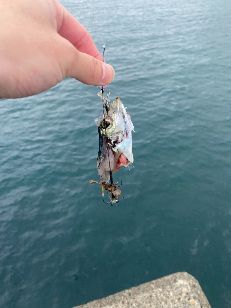 リベンジ果たせず