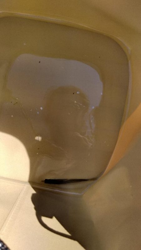 ファミリーフィッシング