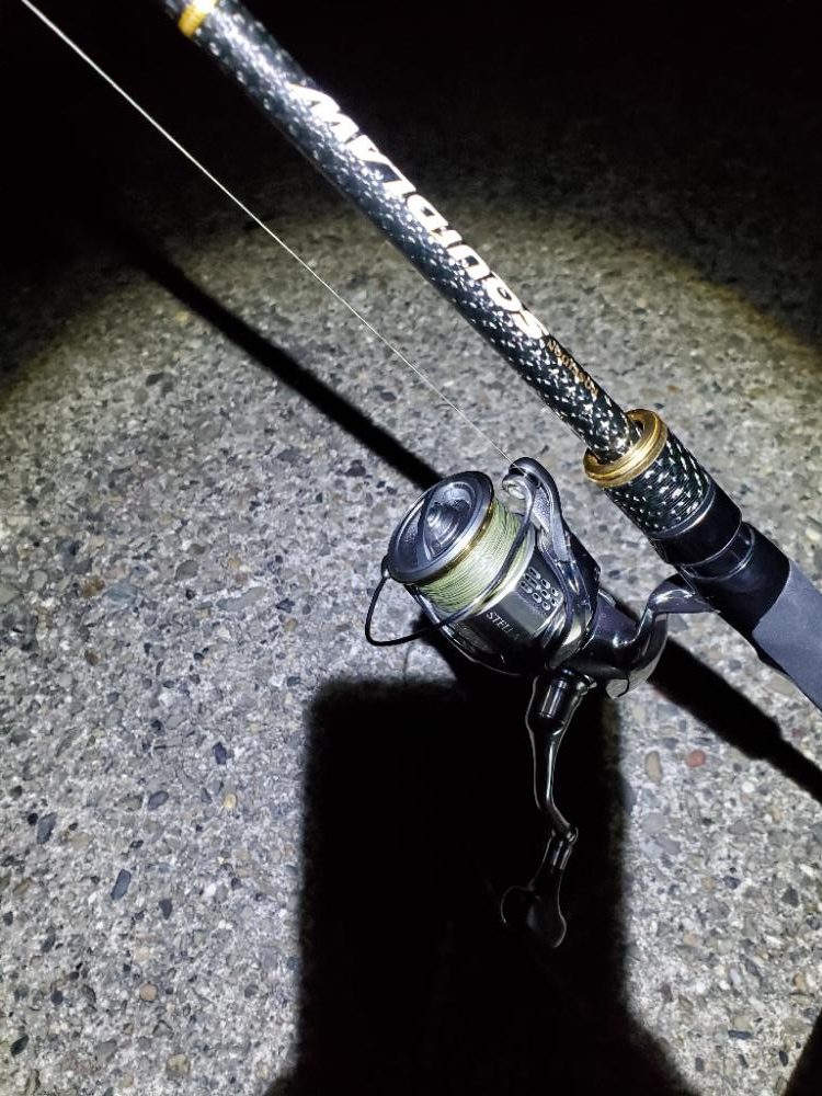 エギング 春イカ好調