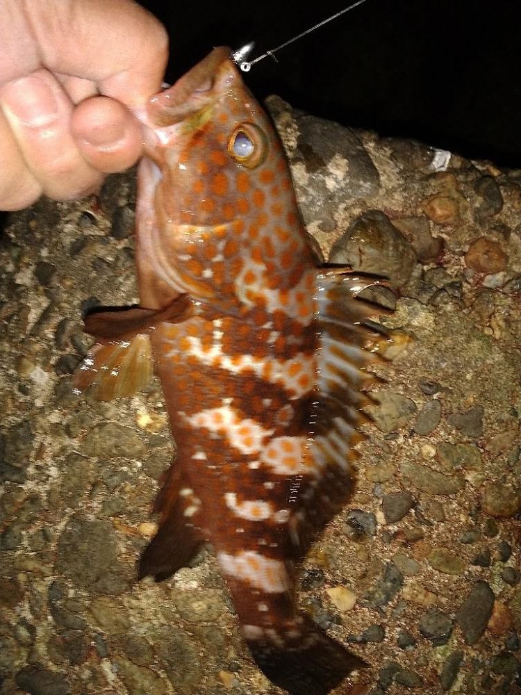 ちょい釣り20230502