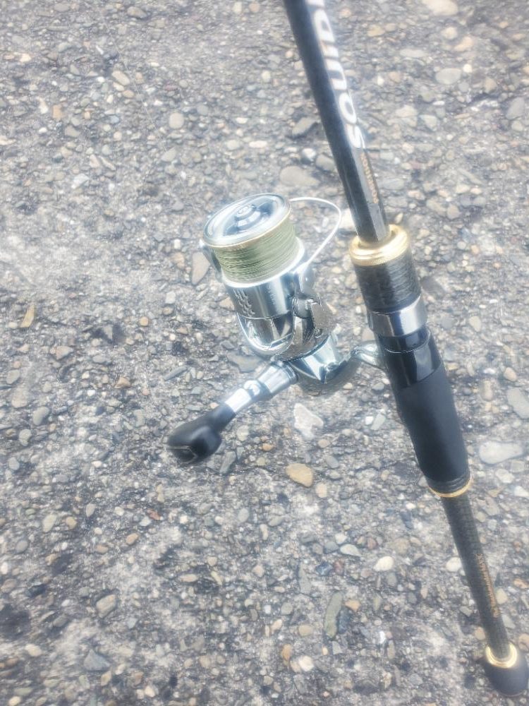 エギング　数は釣れました