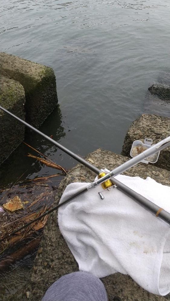 エビはいずこ？