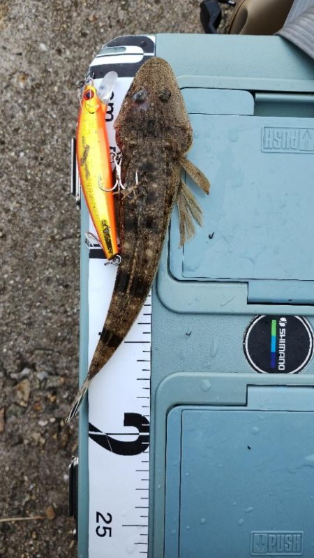 強風で少しだけ