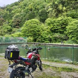 千早川マス釣場で