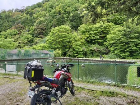 千早川マス釣場で