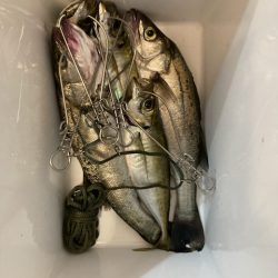 ショアジギング