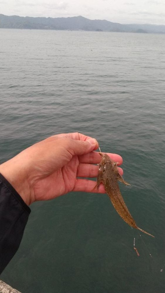 キス~ちょい投げ