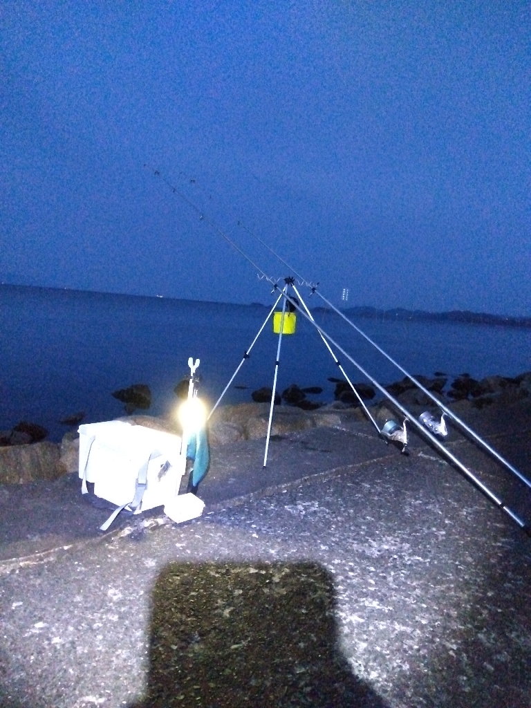 苅屋海岸のキス釣り