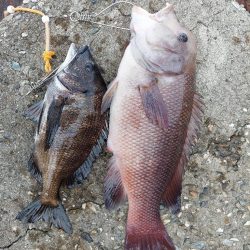 何とか最後に。