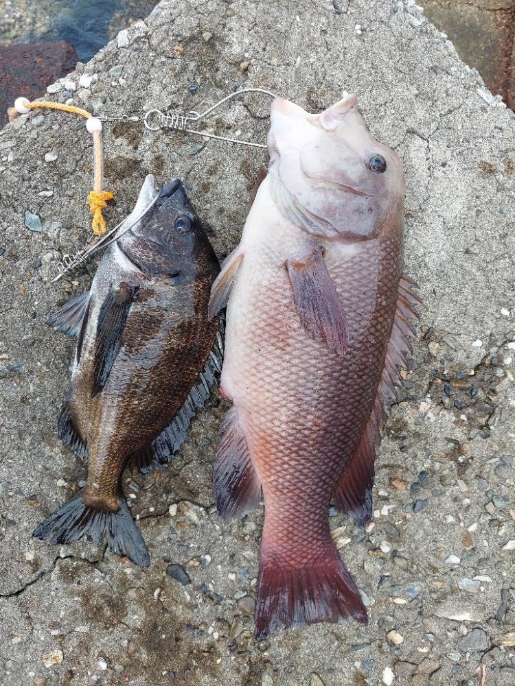 何とか最後に。