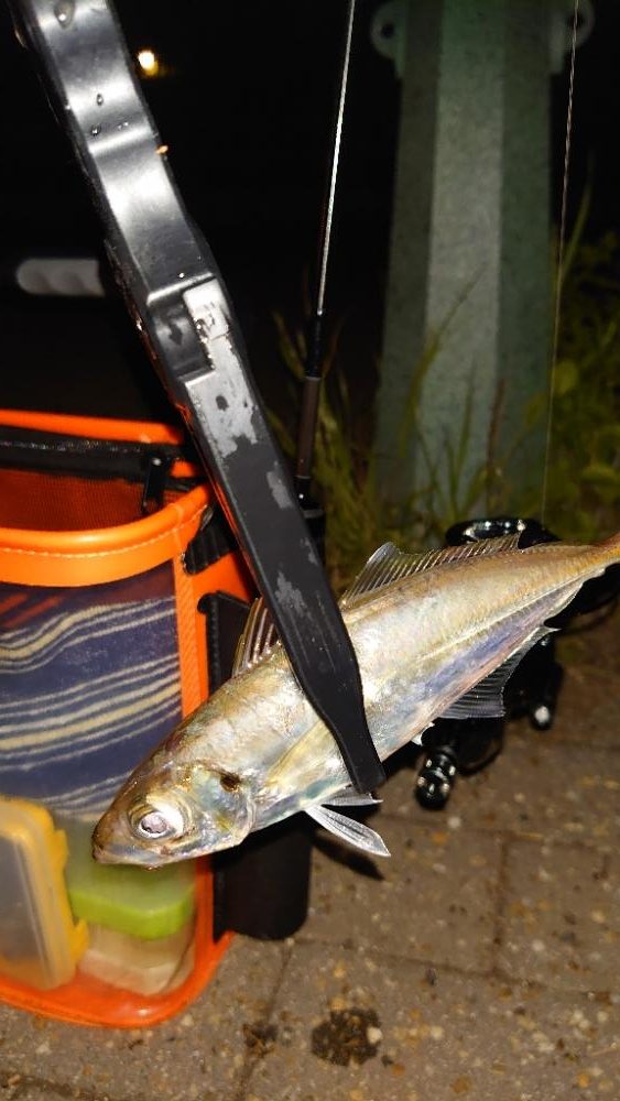 新いた水汲みバケツ