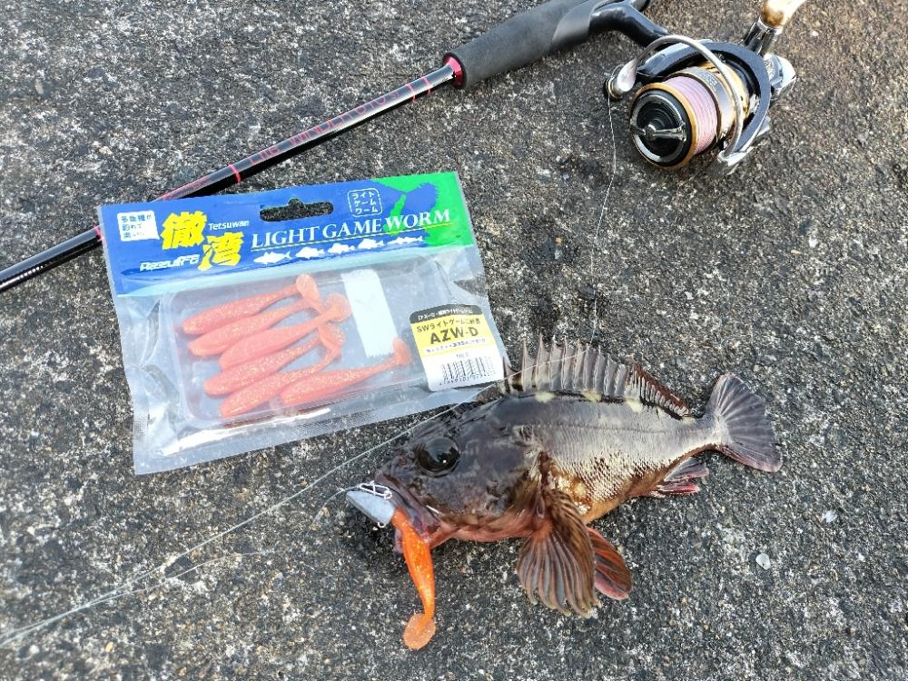 ガシラ狙いで☆