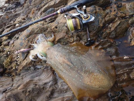 春爆エギングIN対馬