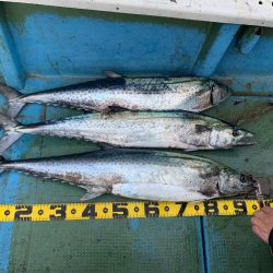 サワラキャスティング神戸