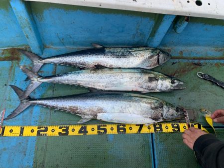 サワラキャスティング神戸