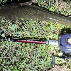 このタックルではじめて釣れたのは？