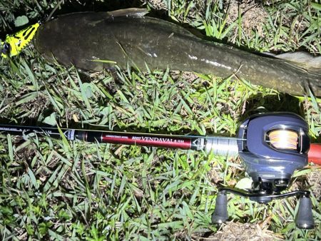 このタックルではじめて釣れたのは？